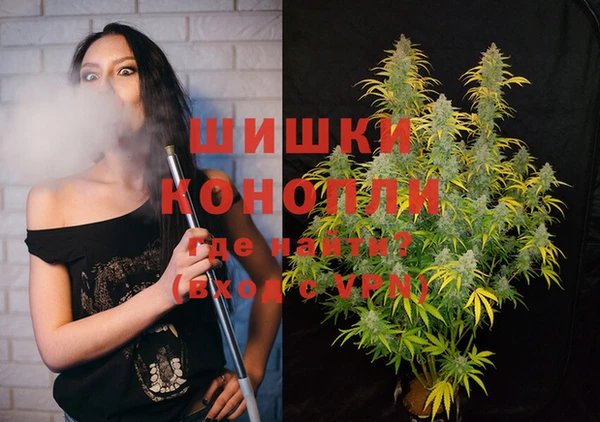 гидропоника Алзамай