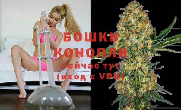 гидропоника Алзамай