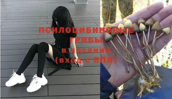a pvp Алексин