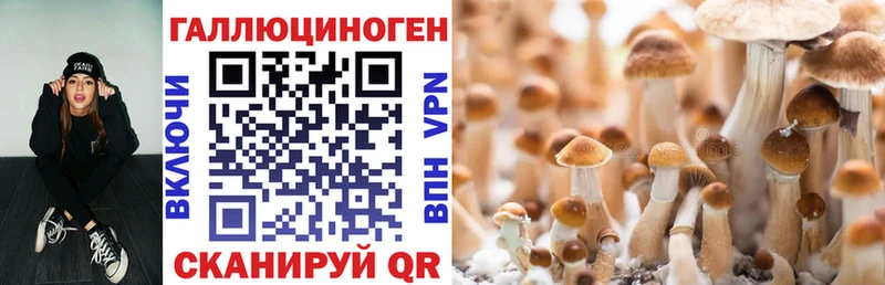 Галлюциногенные грибы Magic Shrooms  гидра рабочий сайт  Находка 